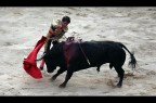 El toro y el torero El toro y el torero