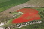La svirgolata