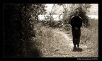 The Walk Of The Life The Walk Of The Life