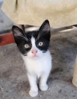 Tu non sei la mia mamma... forse sei il mio papino? Tu non sei la mia mamma... forse sei il mio papino?