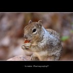 ...dieta equilibrata... ...dieta equilibrata...