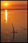tramonta il sole sul lago trasimeno tramonta il sole sul lago trasimeno