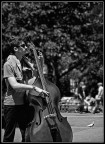 Jazz in the park Jazz in the park