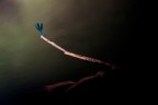 Into the darkness