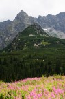 Monte Koscielec Monte Koscielec