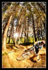 MTB|MXStyle MTB|MXStyle