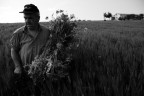 L'Uomo e La Sua Terra L'Uomo e La Sua Terra