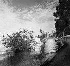 Sirmione : Veduta dalla camminata delle Muse Sirmione : Veduta dalla camminata delle Muse