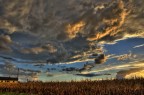 Cielo Cielo