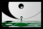 Yin e Yang Yin e Yang