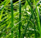 Luci rosse Luci rosse