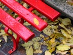 autunno autunno