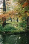 In una piovosa domenica di inizio novembre...
uno scorcio di natura nel centro di Milano