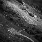 ritorno alle urne? ritorno alle urne?