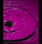 without gravity without gravity