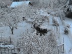 Paesaggio Paesaggio