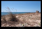 bagnara bagnara