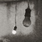 L'ottimista L'ottimista