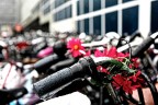 Bicycle Bicycle