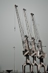 Porto di domenica Porto di domenica