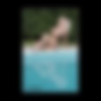 Riflessi di Lucič Riflessi di Lucič