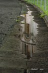 riflessi riflessi