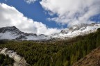 Val Malvaglia (CH)
Prima foto sul forum... andateci pesante!!
suggerimenti e critiche ben accetti
