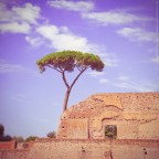 Vintage Rome Vintage Rome