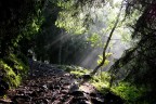 Piove luce Piove luce