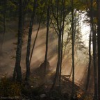 Raggi di sole 2 Raggi di sole 2