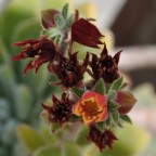 Prova macro Prova macro