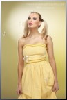Bolle