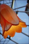 luce sulla fiera