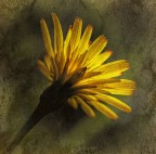 ...Texture... ...Texture...