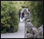 Mentre tutto scorre Mentre tutto scorre