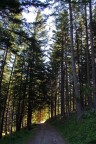 Nel bosco magico.. Nel bosco magico..