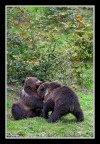 Giochi tra piccoli Giochi tra piccoli
