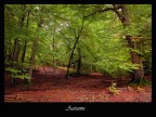 Autunno Autunno
