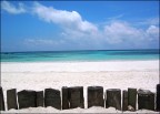 Zanzibar 2 Zanzibar 2