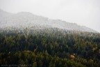 prima neve prima neve