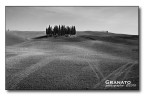Boschetto dei cipressi 2 Boschetto dei cipressi 2