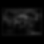 In onore di H. Newton 2 In onore di H. Newton 2