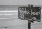 bagno aloha beach 32 bagno aloha beach 32