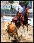 Rodeo Rodeo
