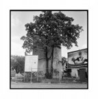 Milano, 2010 Milano, 2010