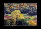 Colori d'Ottobre Colori d'Ottobre