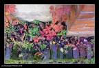 Tavolozza autunnale