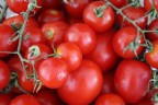 i pomodori i pomodori