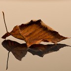 Solo un riflesso.. Solo un riflesso..