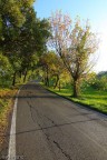 E la strada sale...